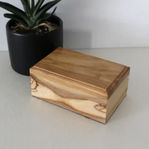 import placeholder for 1405