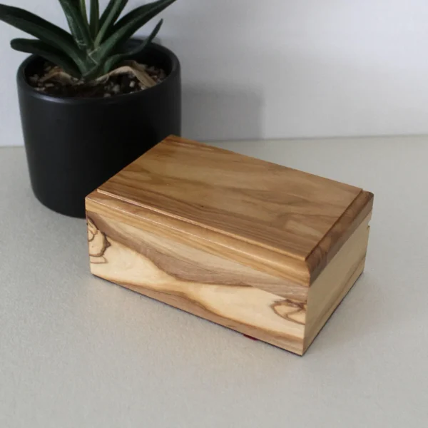 import placeholder for 1405